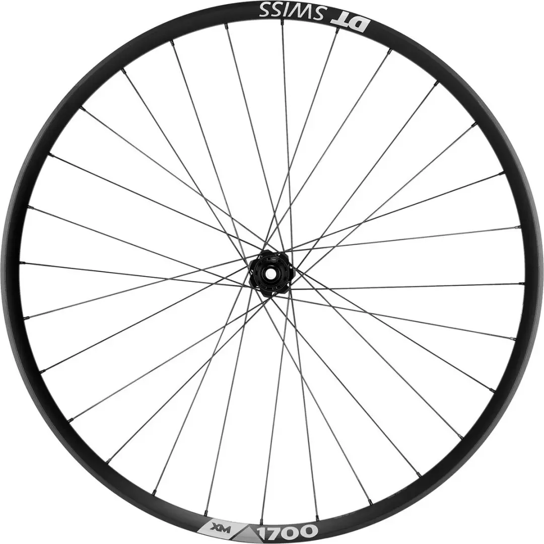 Dt Swiss Xm 1700 Spline 30 29´´ Cl Disc Mtb Achterwiel Zwart 12 x 148 mm / Sra