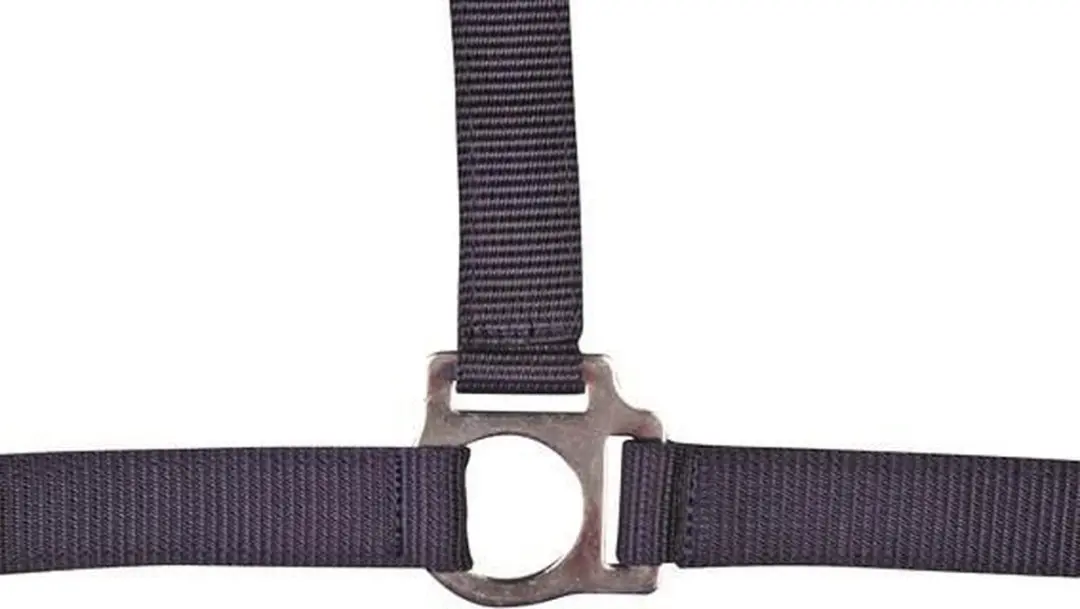 Halster -Stars Economy- donkerblauw Cob