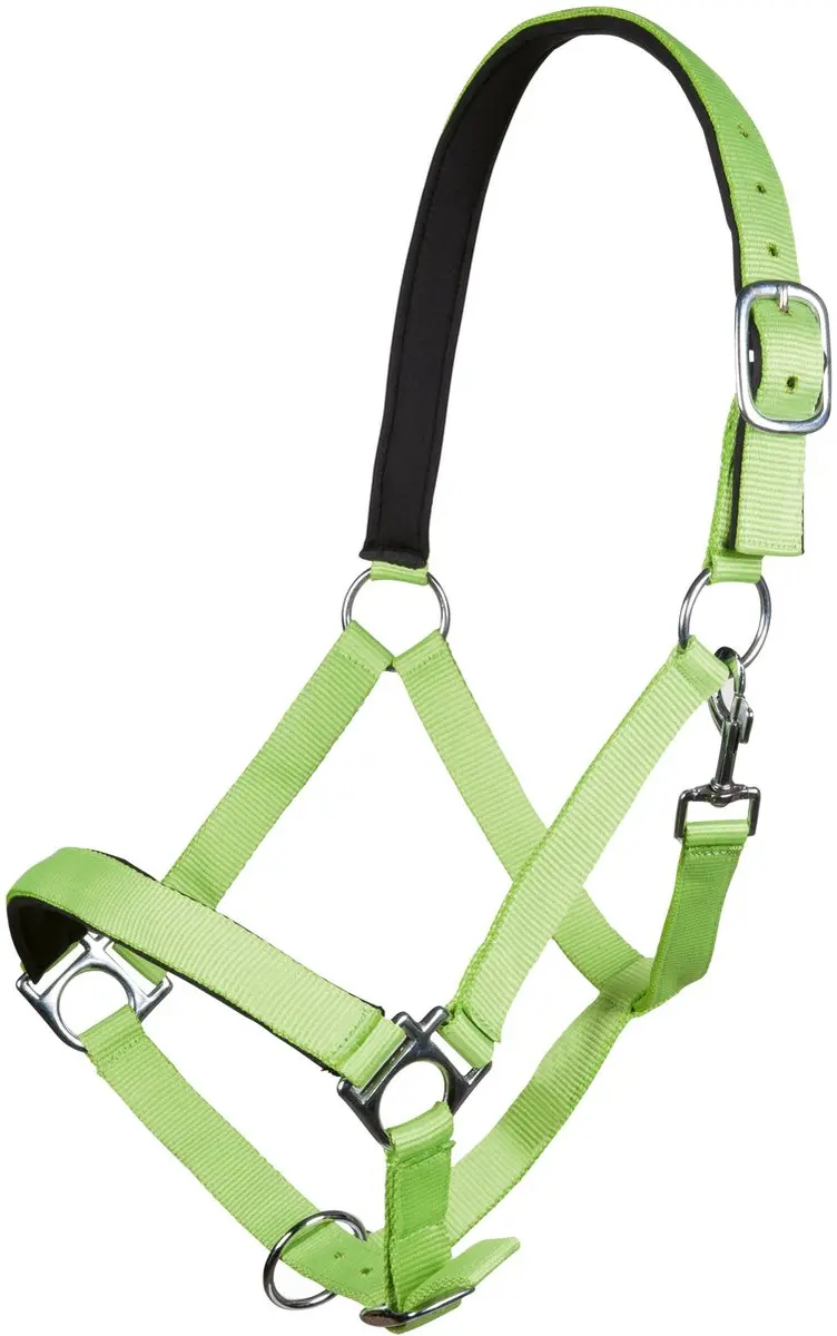 Halster -Stars Softice- neongroen Koudbloed paard