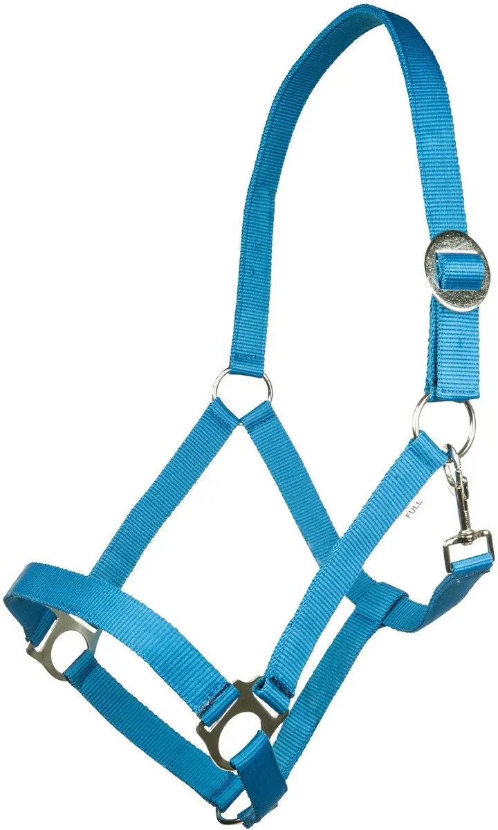 Halster -Stars Economy Softice- - afbeelding 2 van 2