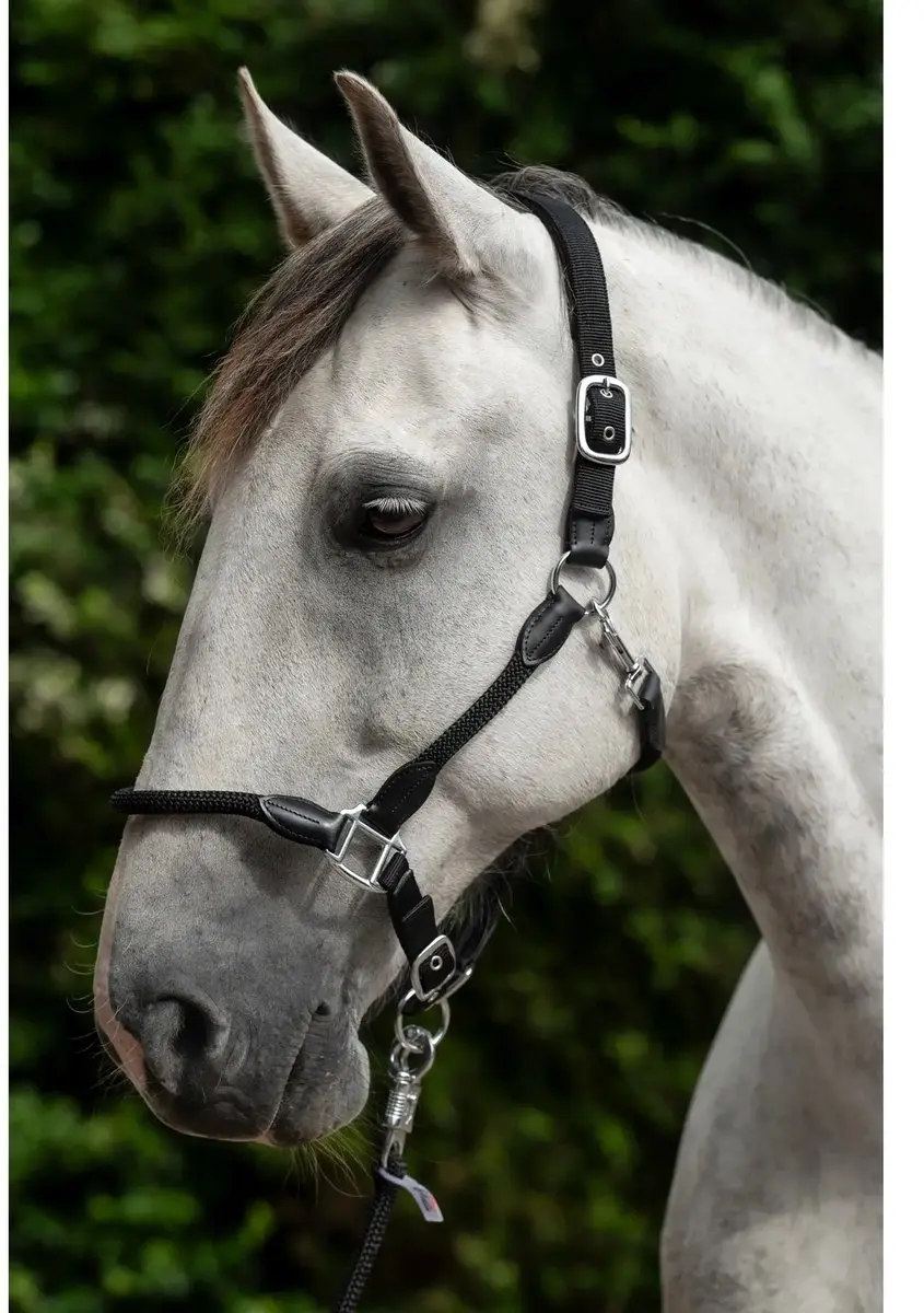 HKM Carlotta Halster Pony - Zwart - afbeelding 5 van 6