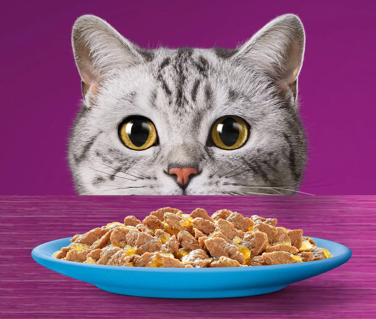 Whiskas Senior 7+ Vis Selectie in Gelei - 40x85g