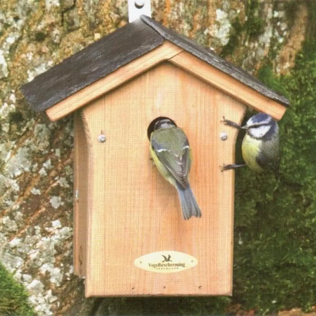 Portland Vogelhuisje met leistenen dak - afbeelding 2 van 4