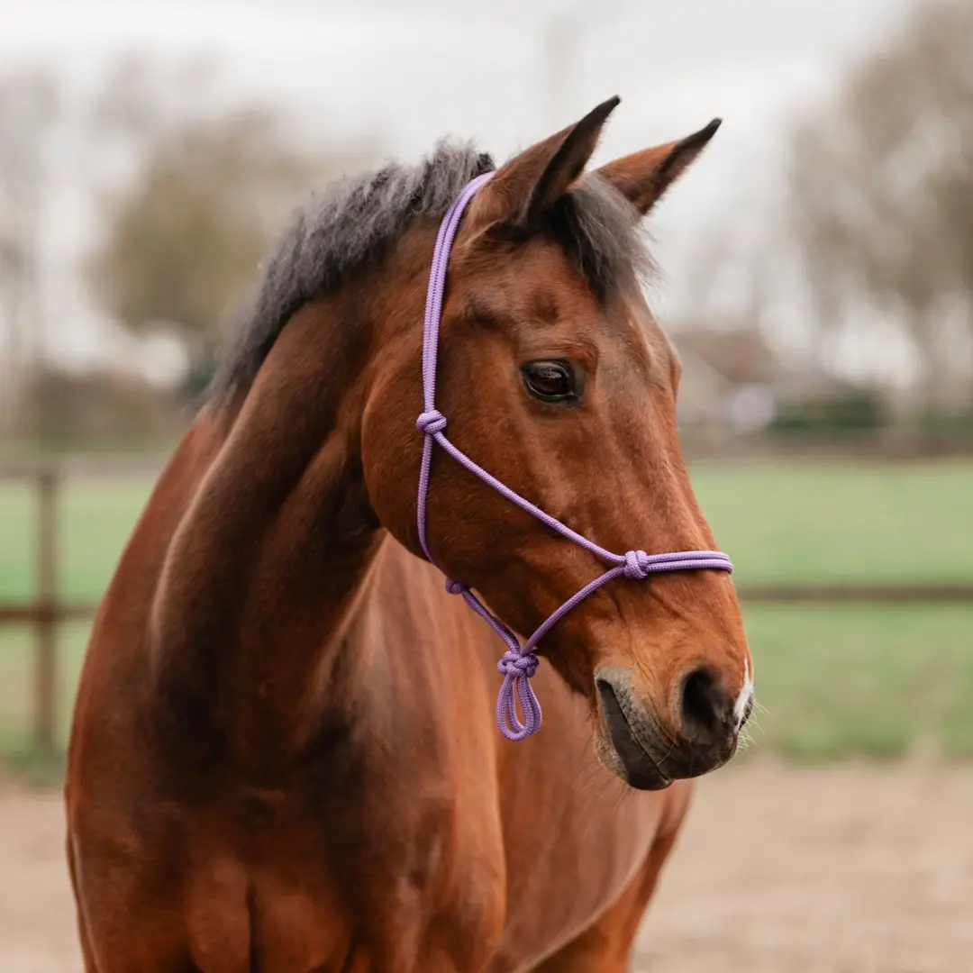 Horka Basic Touwhalster Cob - Blauw - afbeelding 2 van 6