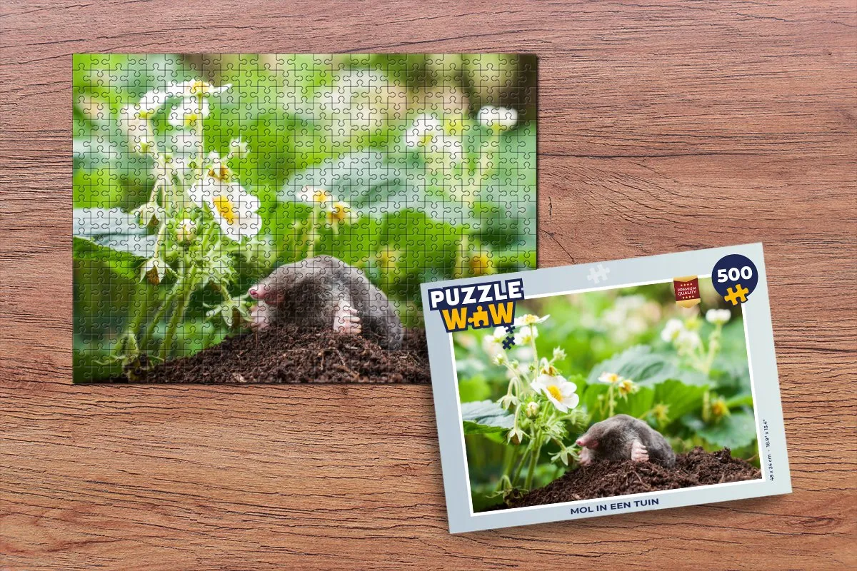 PuzzleWow Mol Legpuzzel 500 Stuks