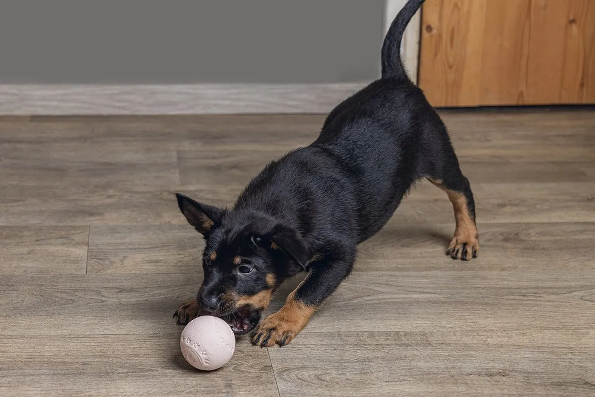 Beeztees Puppy Play Bal Roze - 6 cm