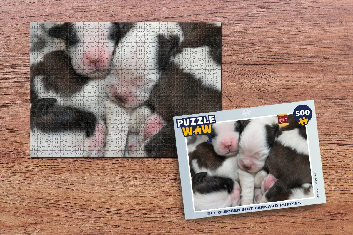 PuzzleWow Net Geboren Sint Bernard Puppies Legpuzzel 500 Stuks - Multicolor