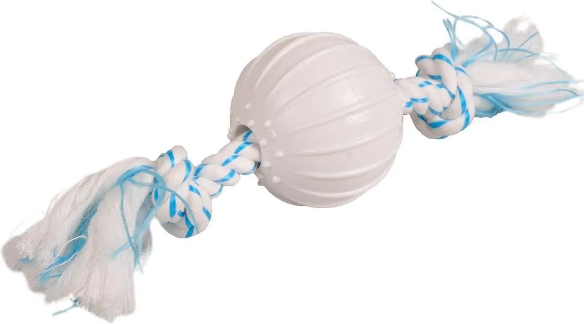 Flamingo Dental Toy Bal