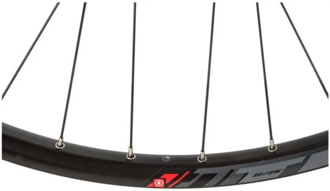 Cordo Inspire Voorwiel Shimano CL 29" Zwart - afbeelding 3 van 3