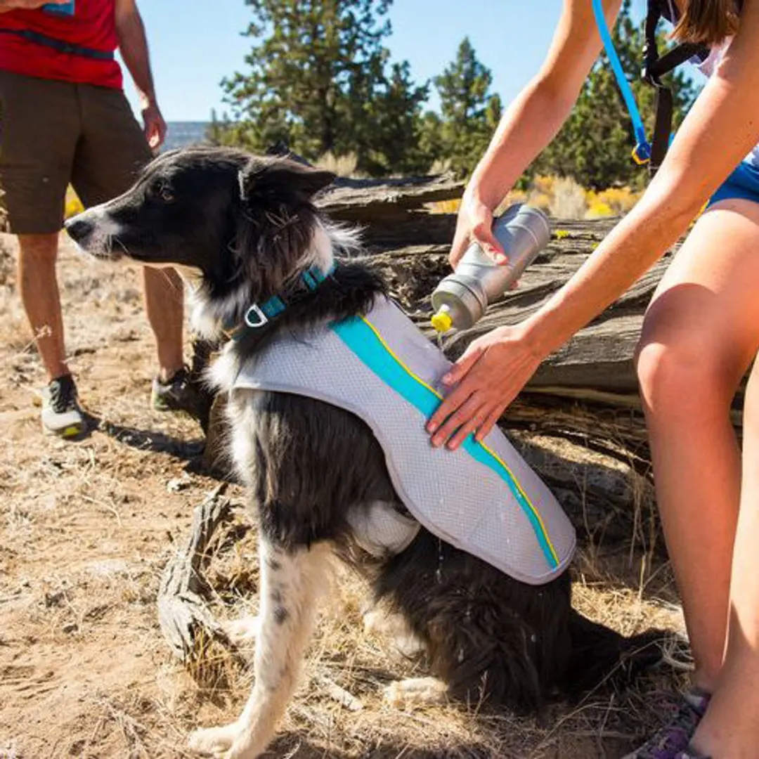 Ruffwear Swamp Cooler