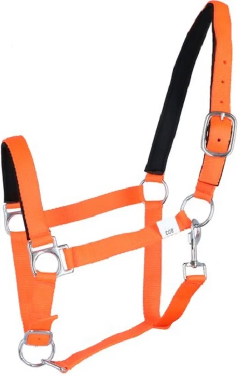 Halster -Stars Softice- neonoranje Shetland pony