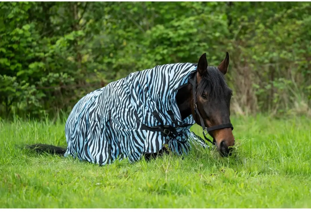 HKM Paardenvliegendeken met halsdekking Zebra L Aqua/Zwart - afbeelding 2 van 6