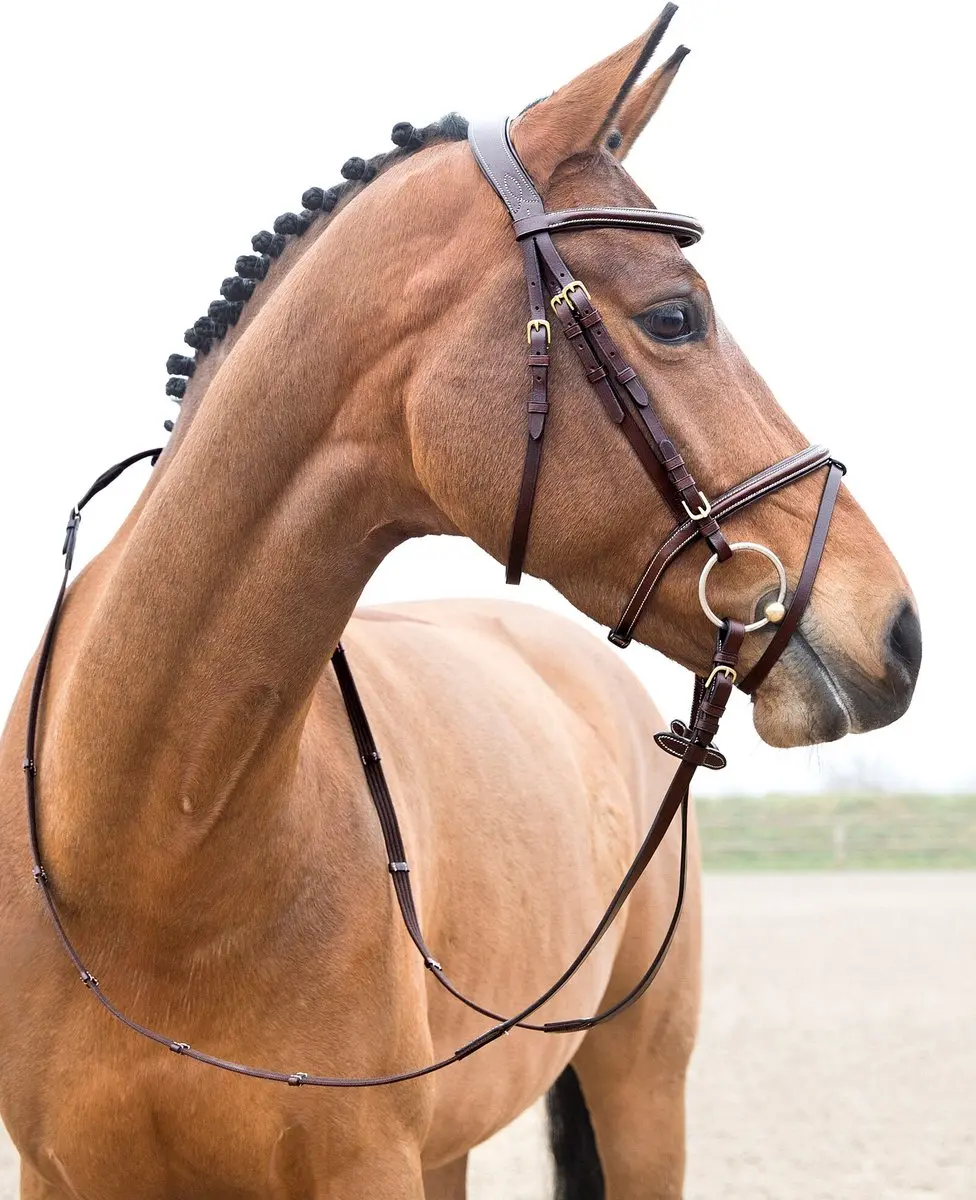 Horze Constance Gecombineerd Hoofdstel X-Full Light Brown - afbeelding 2 van 2