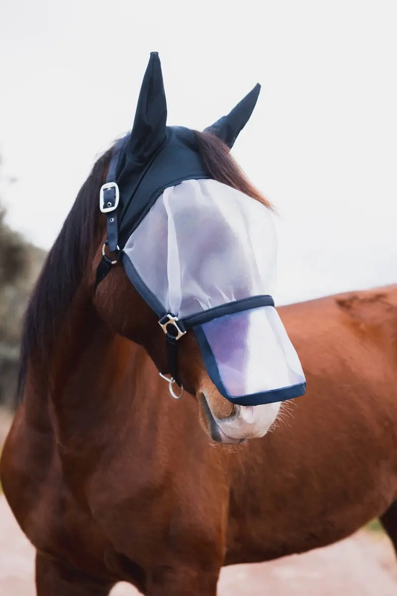 Horze Paso Fino halster met vliegenmasker Full - afbeelding 3 van 5