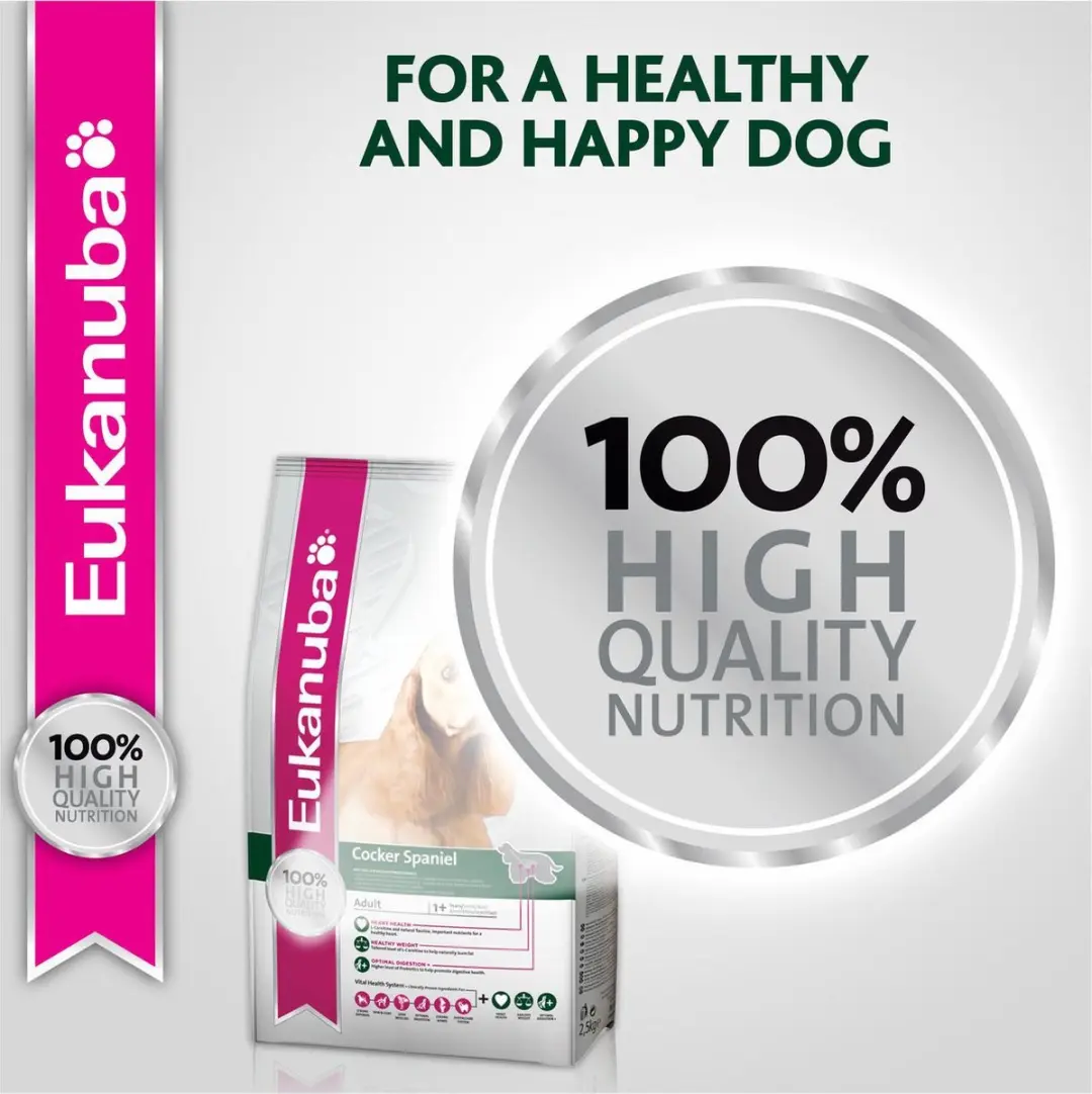 Eukanuba Cocker Spaniël