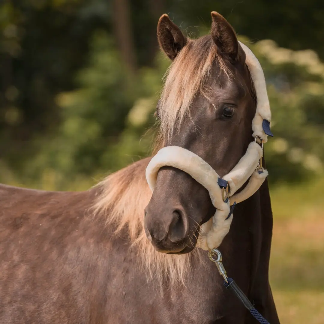 Horka Halster met bontbescherming zwart - afbeelding 6 van 6