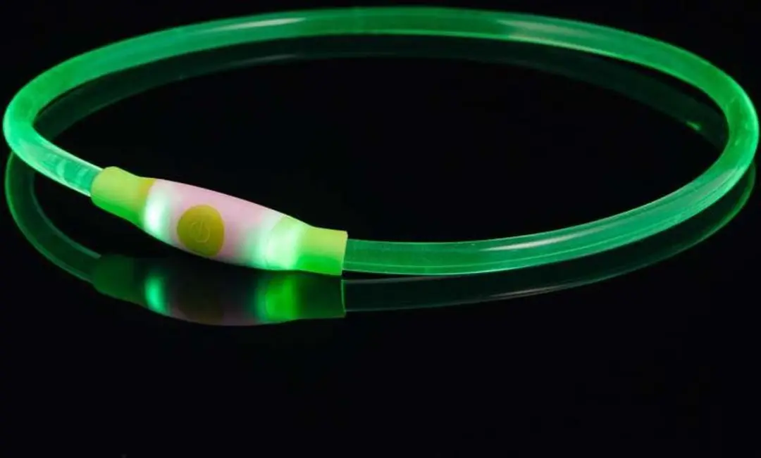 Bee Safe Led Dog Band USB Groen - afbeelding 3 van 6
