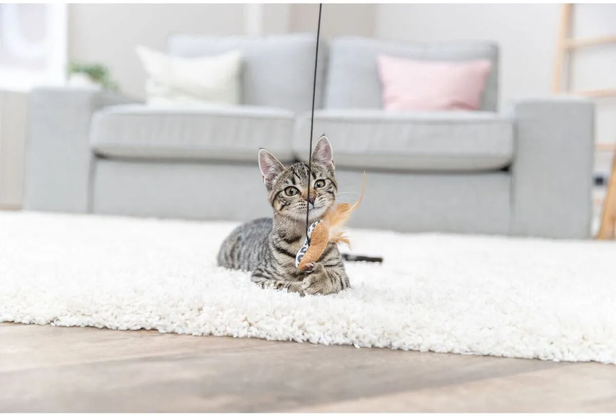 Trixie Kattenspeeltje Hart - Beige