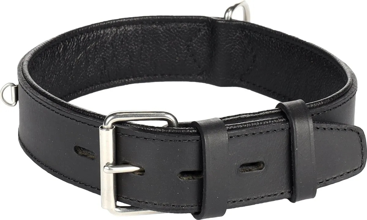 Flamingo Seattle Halsband Honden
