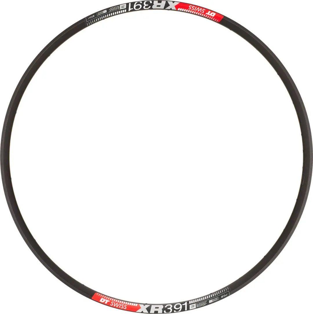 Dt Swiss Xr 391 Disc Velg Zwart 29´´ 28H
