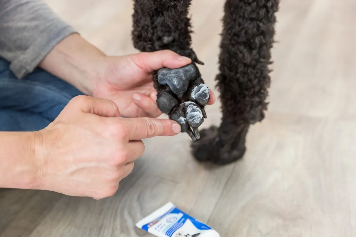 Trixie Pootverzorgingscrème 50ml - afbeelding 2 van 2