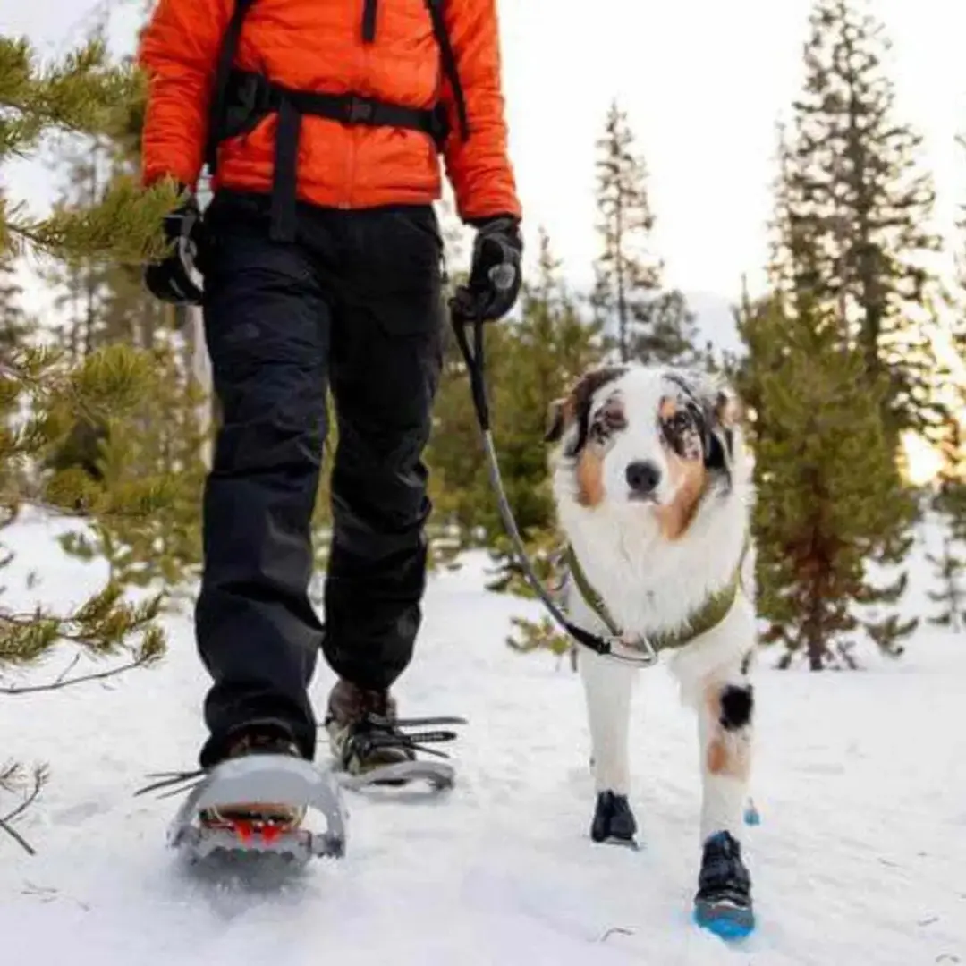 Ruffwear Polar Trex hondenschoenen M - 2 stuks - afbeelding 5 van 6