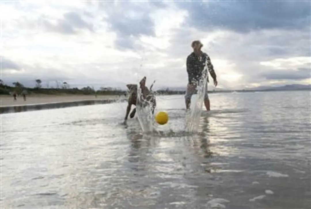 Waboba Pet Fetch Ball - Hondenspeelgoed - Blauw - afbeelding 4 van 6