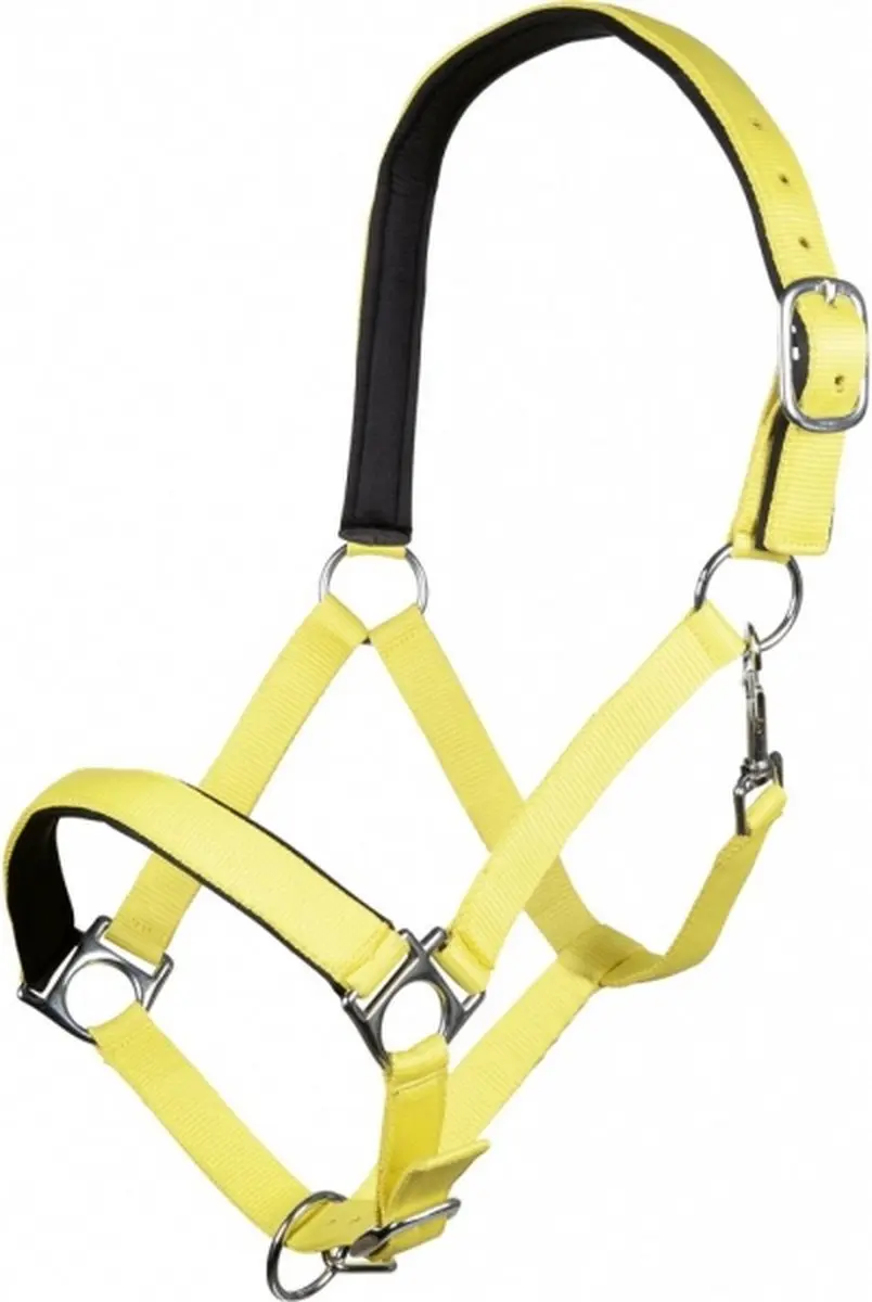 Halster -Stars Softice- neongeel Full