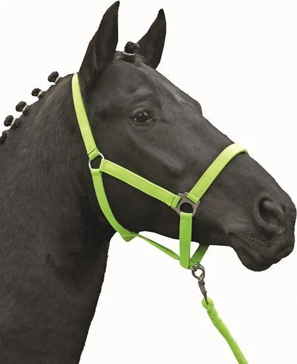 Halster -Stars Economy Softice- neongroen Shetland pony