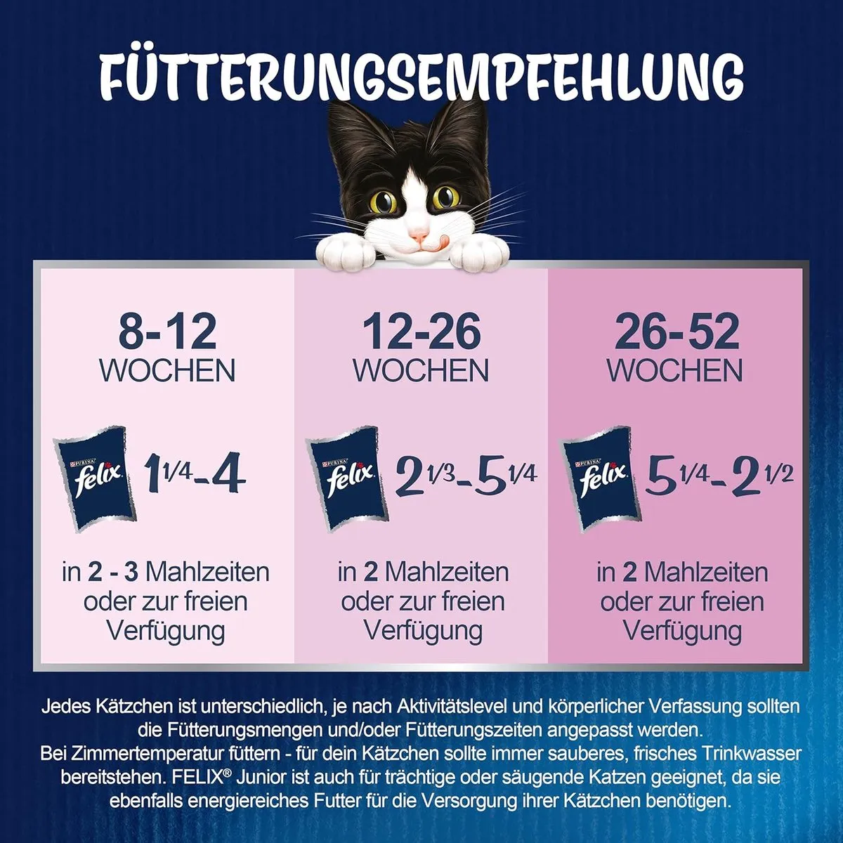 Felix Junior Natvoer voor Katten - 72 Stuks (6x12x85g)