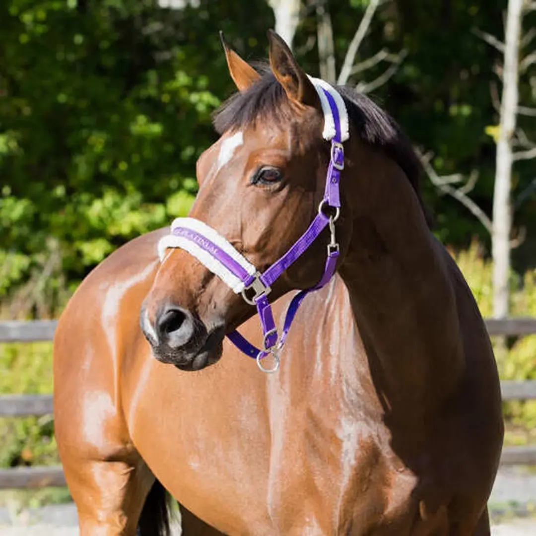 Horze Howard Halster Pony