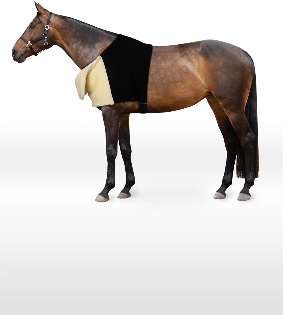 Horze Comfort Schouderbeschermer M