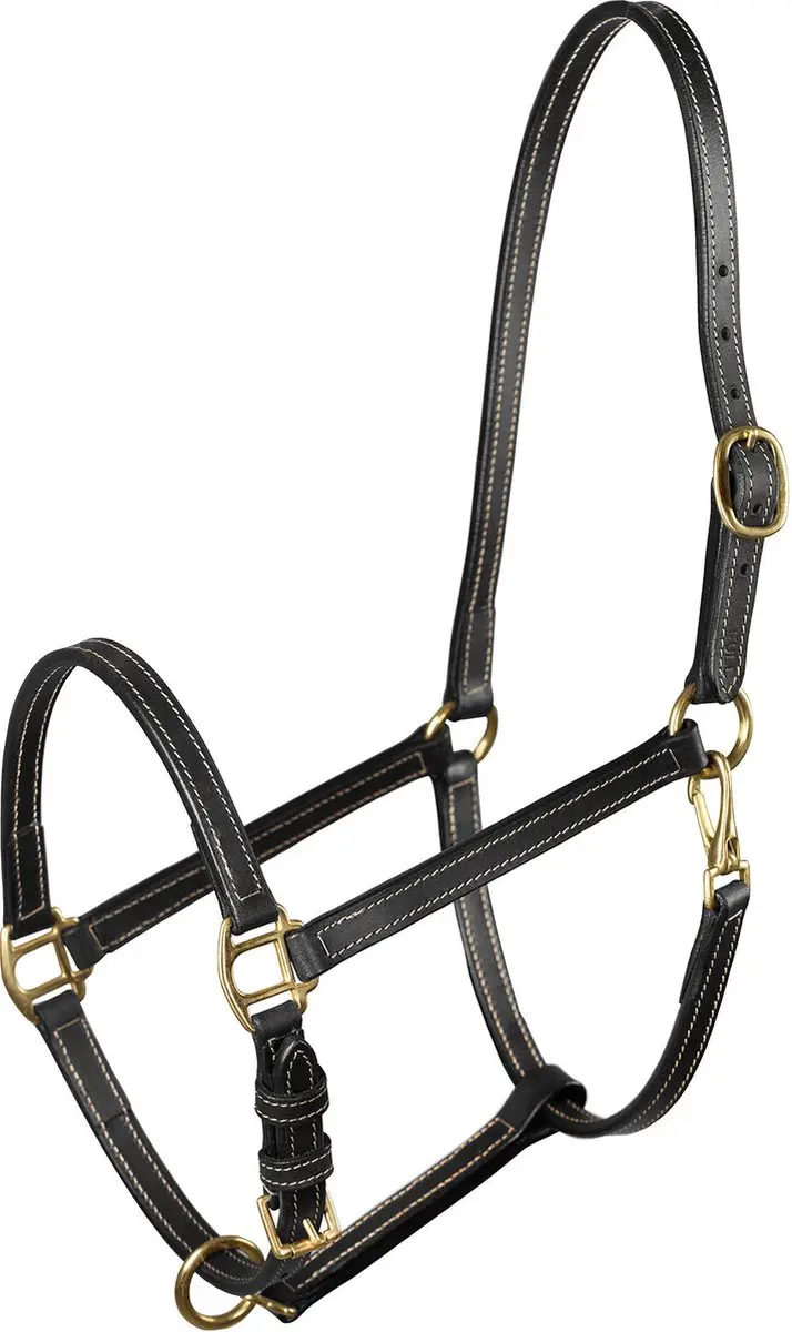 Freemont Leren Halster
