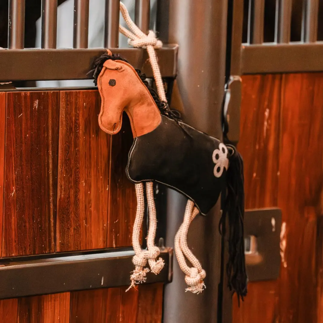 Paardenspeelgoed Horka Paardje Paard