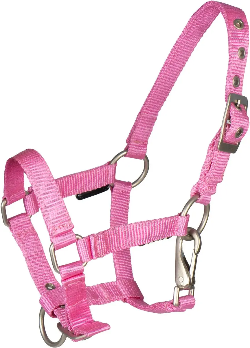 VEULEN HALTER MET CLIP | Shetlander - afbeelding 2 van 2