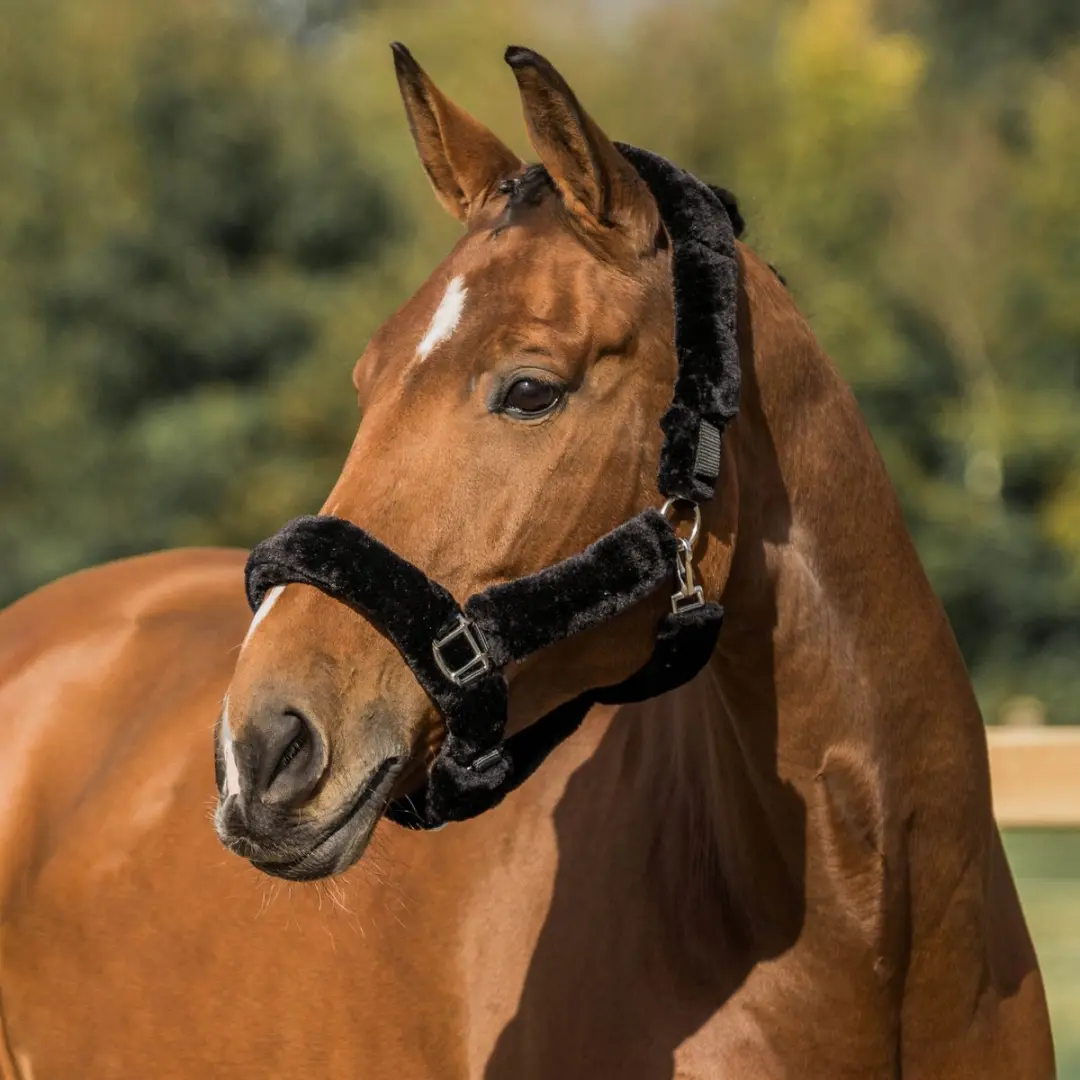 Halster Met Bont Bescherming