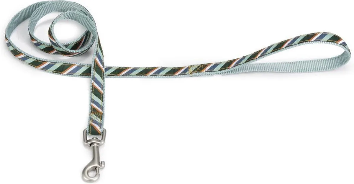 Beeztees Diago Nylon Looplijn
