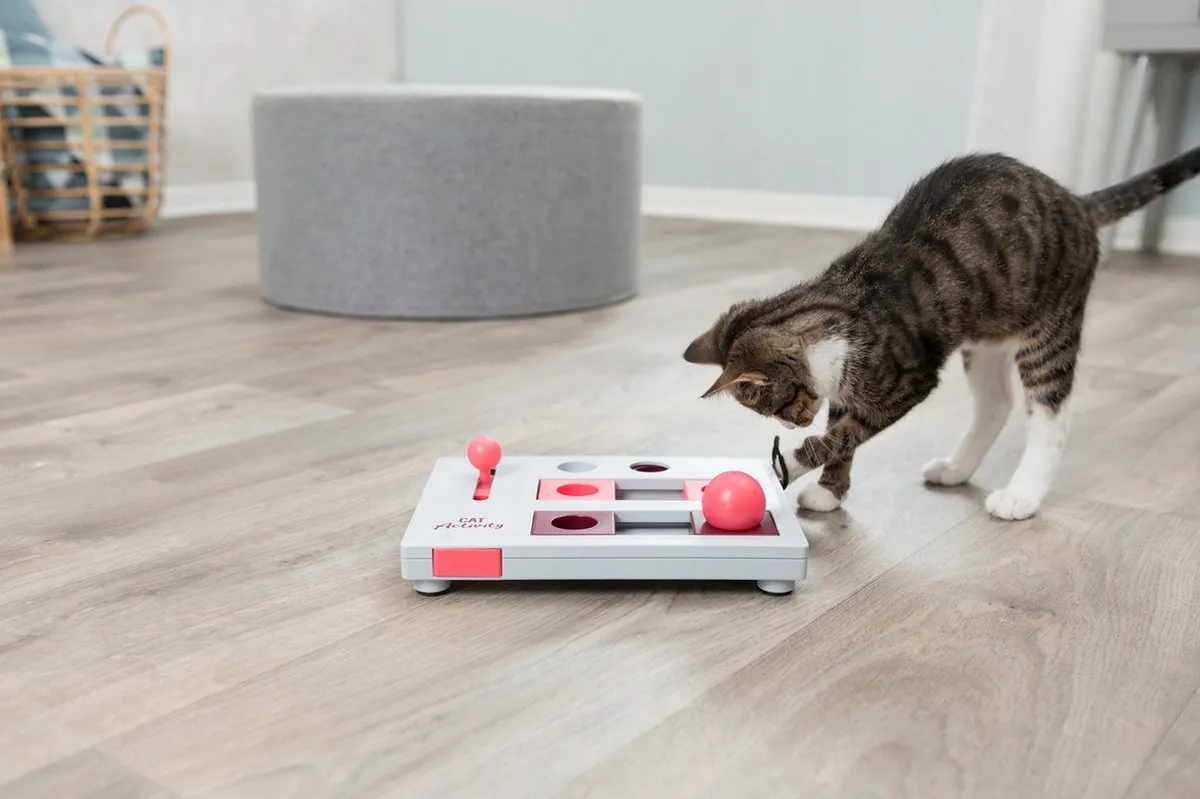 Trixie Cat Activity Brain Mover Strategiespel - 25x20cm