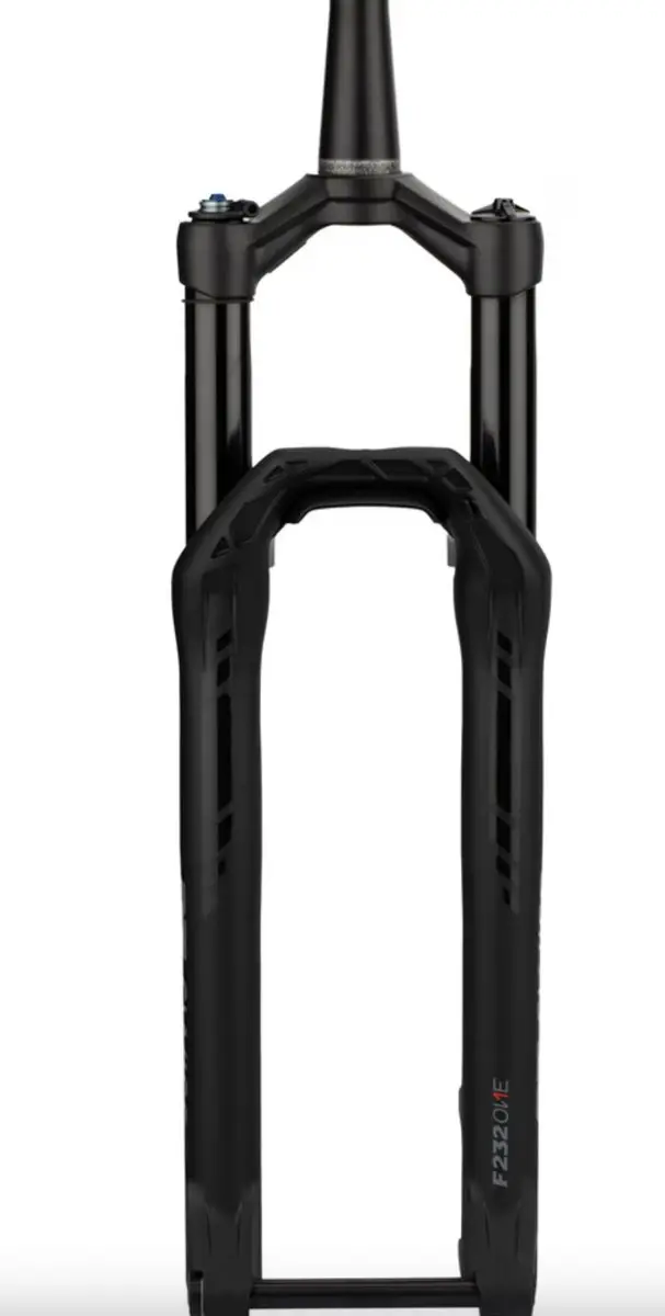 DT Swiss F 232 ONE 29 Inch Fork