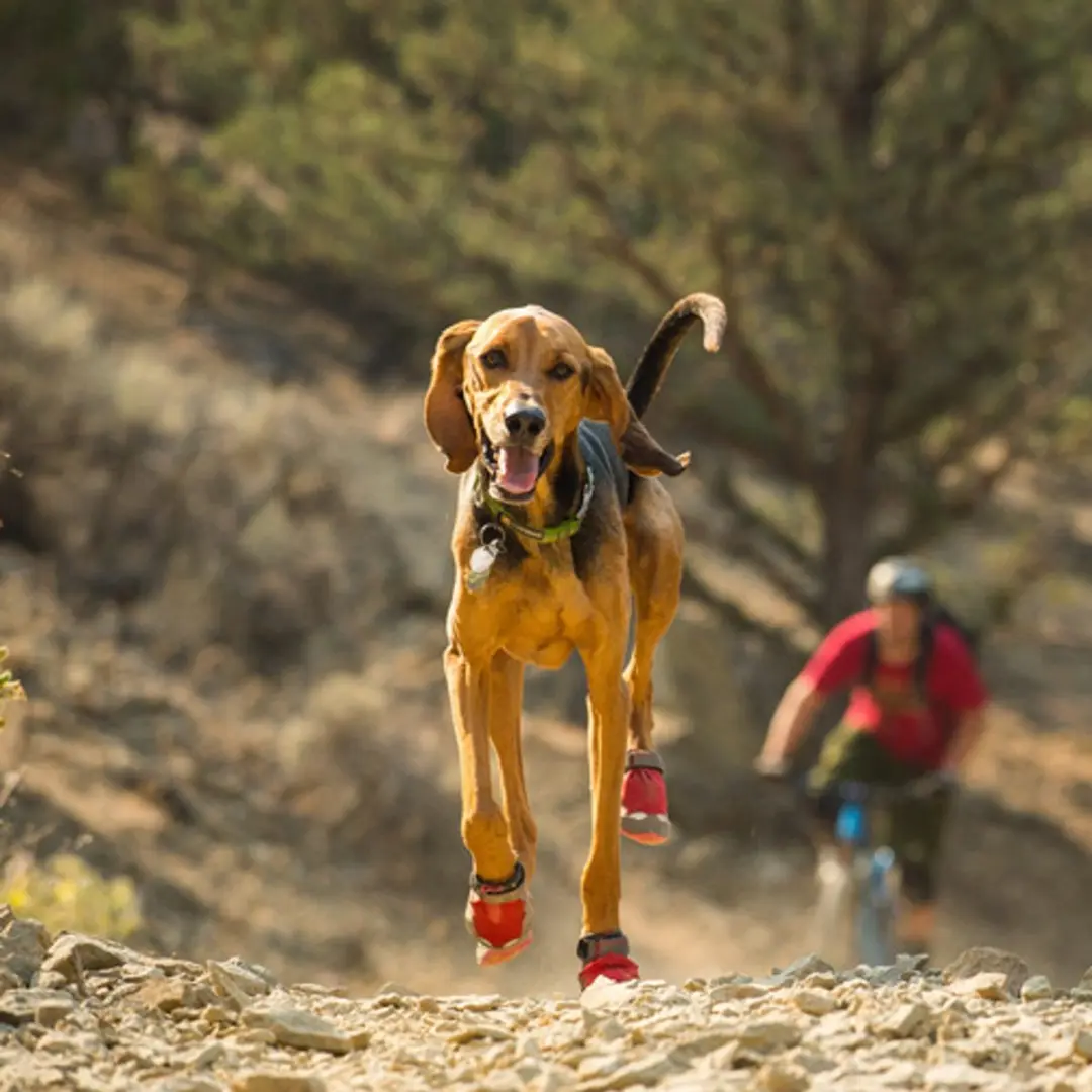 Ruffwear Grip Trex XL - afbeelding 3 van 6