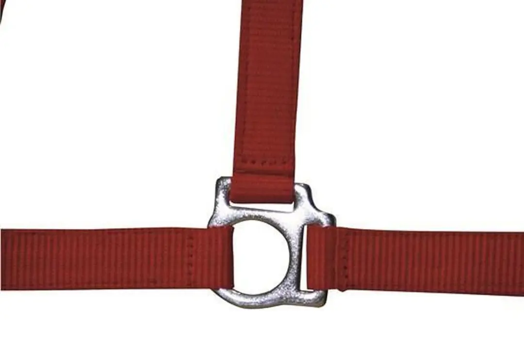 Halster -Stars Economy- rood Koudbloed paard