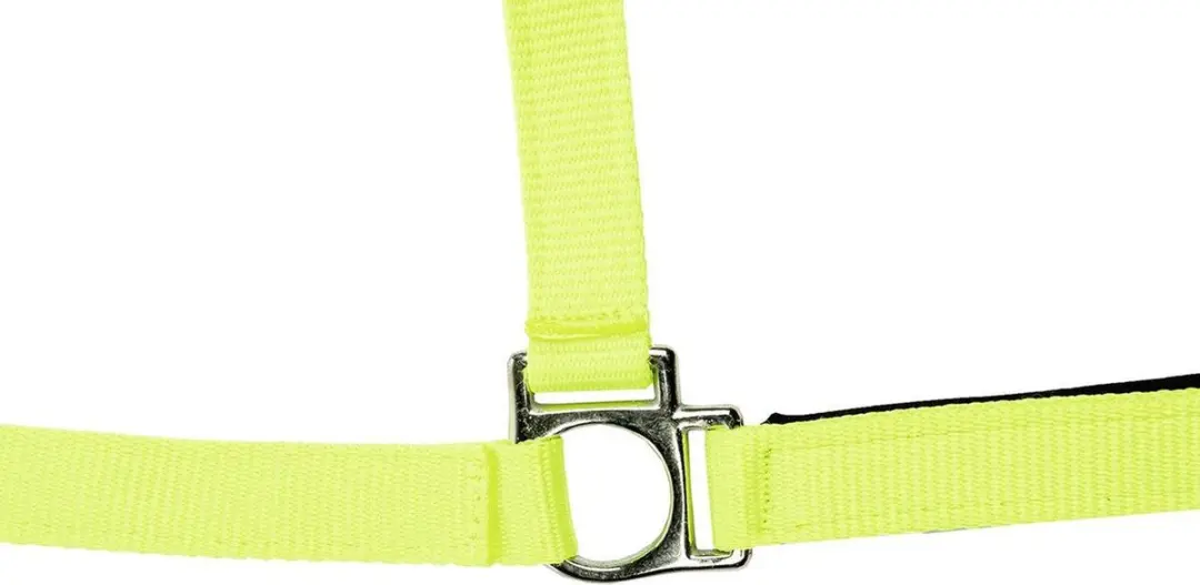 Halster -Stars Softice- neongroen Full