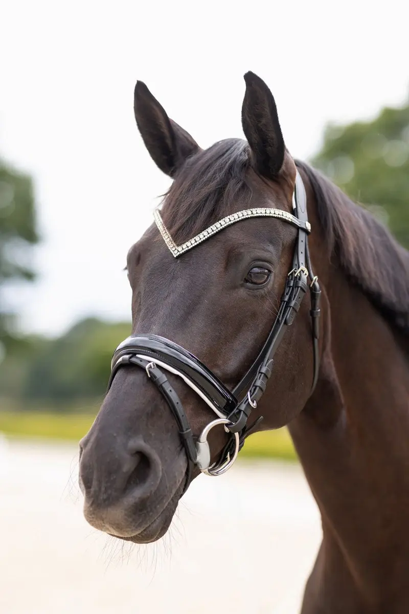 Horze Grayson Anatomisch Trenshoofdstel, Black/Black, Pony