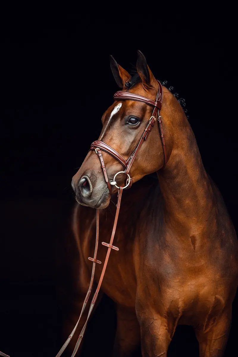 Horze Sion Hoofdstel Brown Full - afbeelding 3 van 3