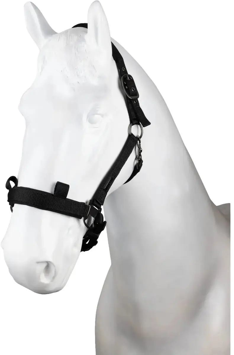 Horze Nylon halster Control Pony