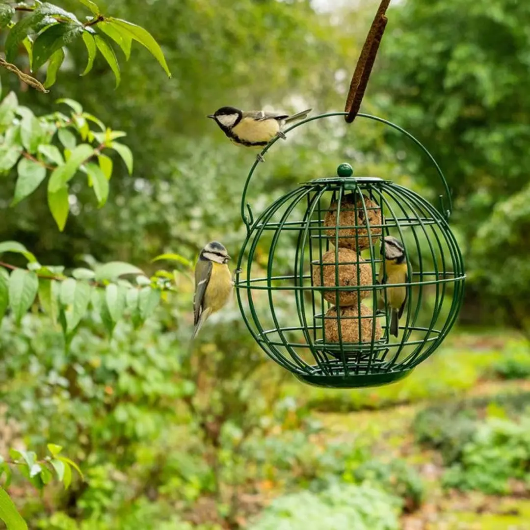 Vogelbescherming Nederland London vetbolhouder groen - afbeelding 3 van 6