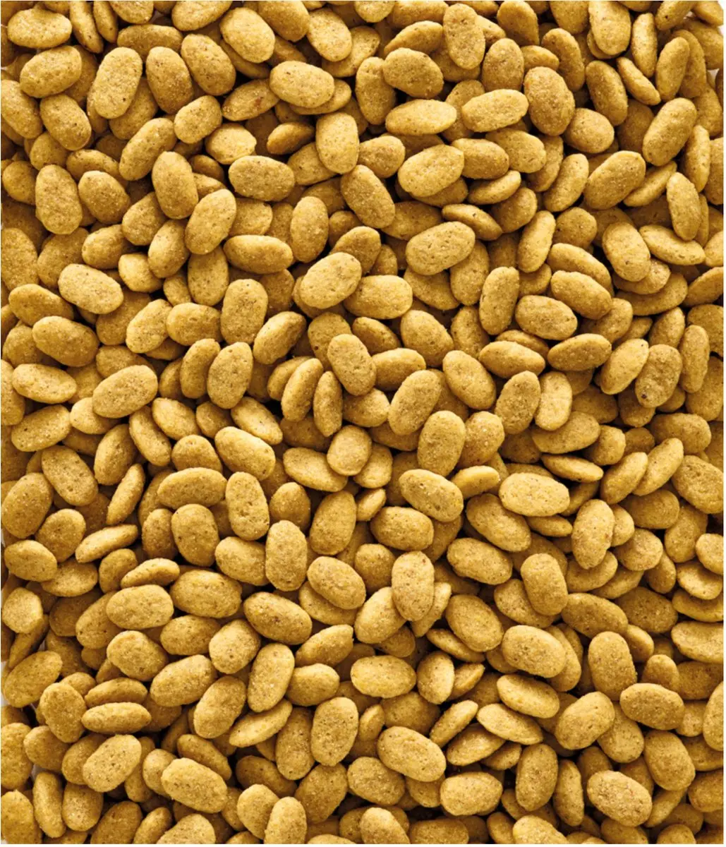 Versele-Laga Nutribird P15 Original Vogelvoer 3kg - afbeelding 2 van 6