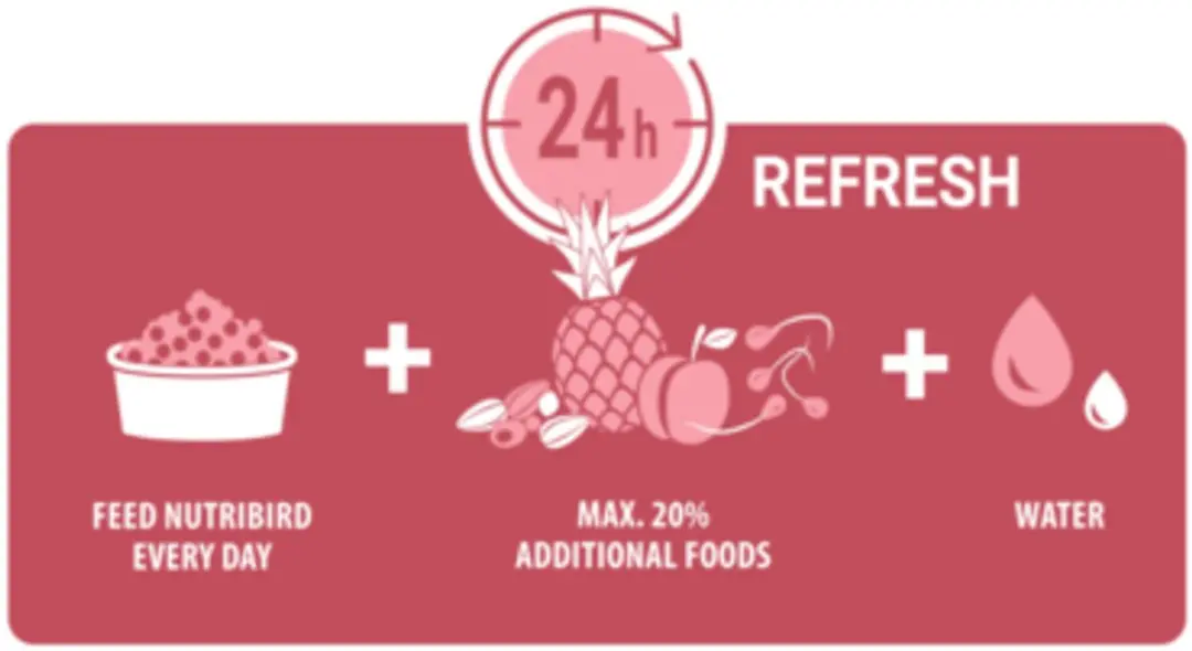 Versele-Laga Nutribird P15 Original Papegaaienvoer 10kg - afbeelding 4 van 6