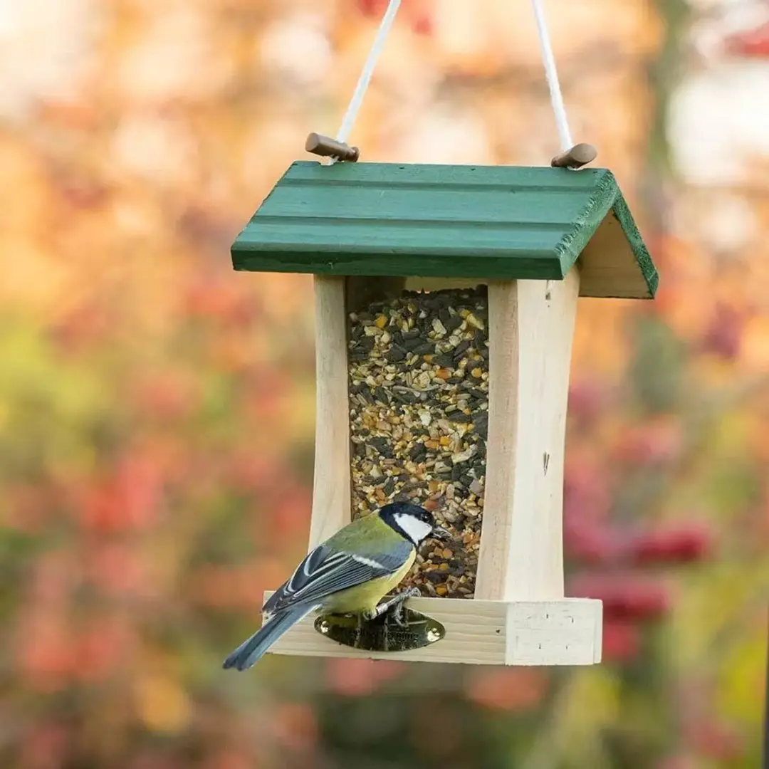 Vogelbescherming Nederland Voederhuis St. Louis Midi Groen - afbeelding 4 van 6