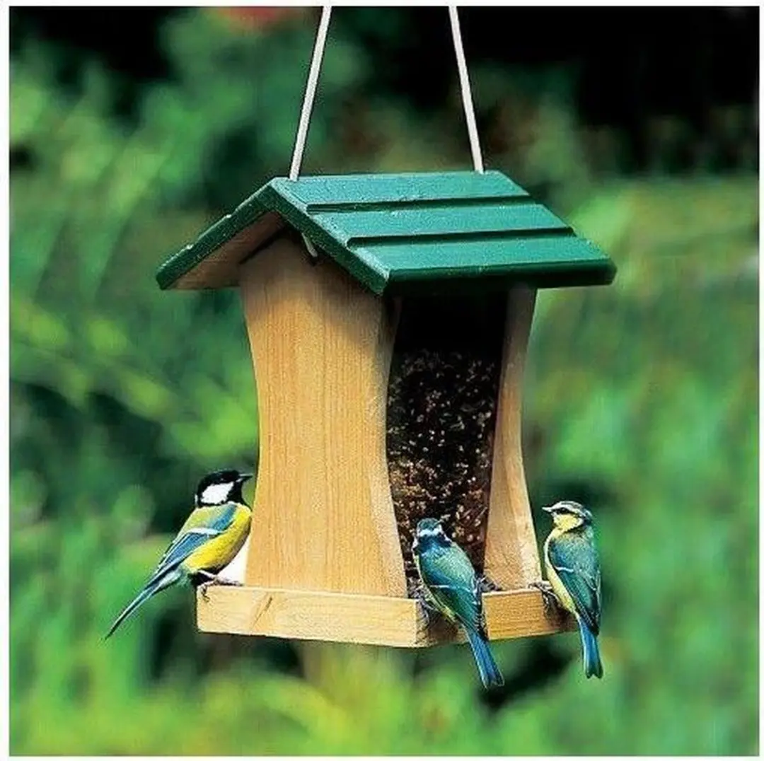 Vogelbescherming Nederland Voederhuis St. Louis Midi Groen